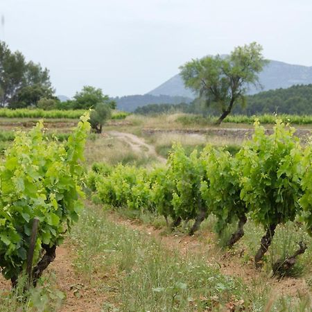 La Maison De Campagne Carces Bagian luar foto