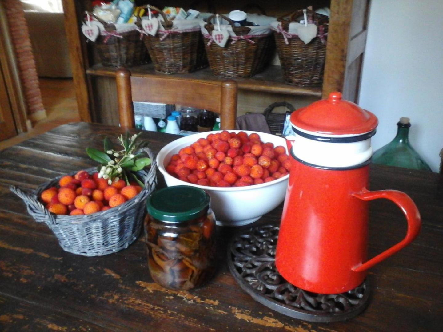 La Maison De Campagne Carces Bagian luar foto